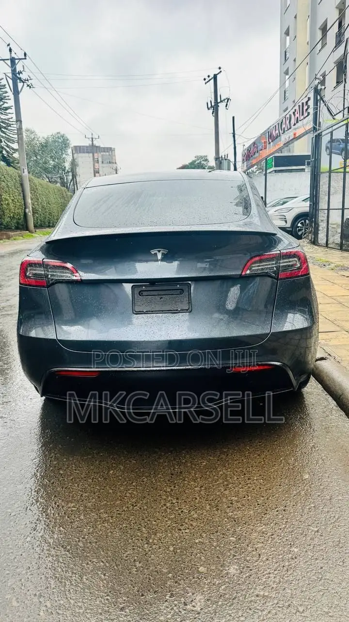 New Tesla Model Y 2024 Blue