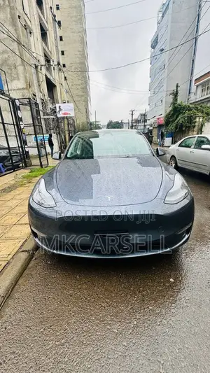 New Tesla Model Y 2024 Blue