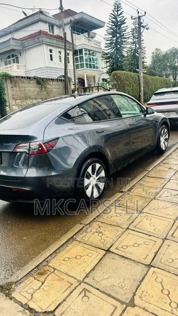 New Tesla Model Y 2024 Blue