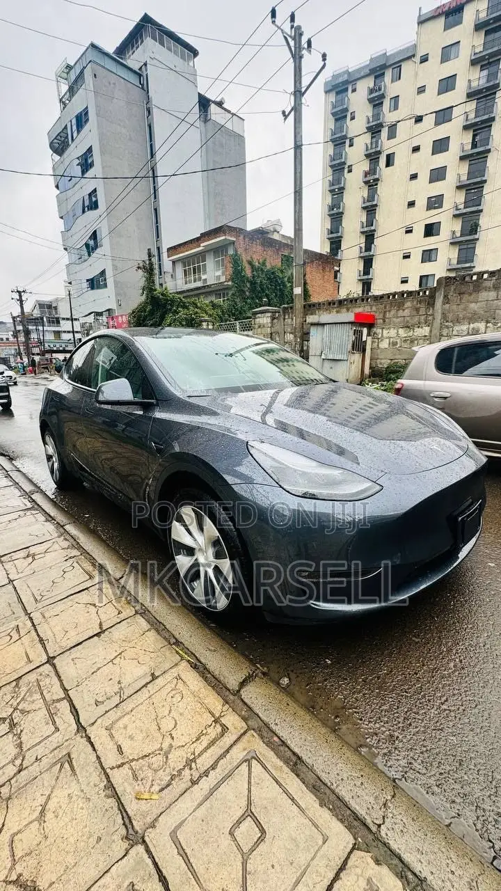 New Tesla Model Y 2024 Blue