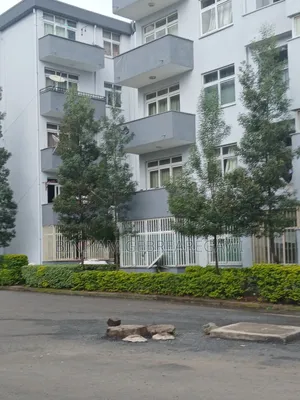 Photo - 2bdrm Apartment in Apartment, Yeka for rent