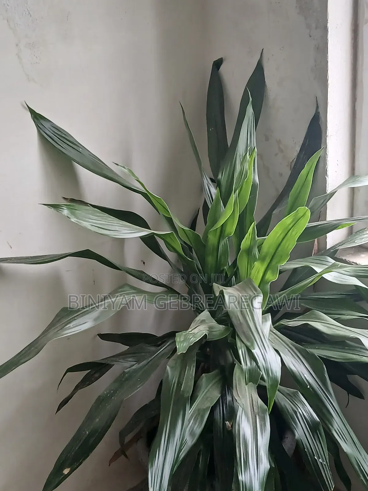 2bdrm Apartment in Apartment, Yeka for rent