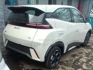 Photo - Byd Seagul for Rent