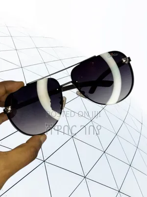 Police and Cartier Sunglasses