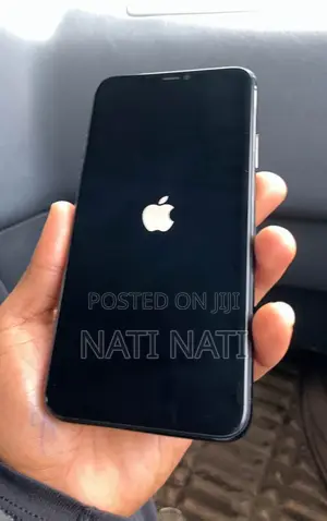 Apple iPhone 11 Pro Max 256 GB Gray