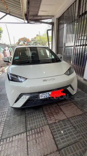 Photo - BYD Seagull 30 kWh FWD 2023 Off white