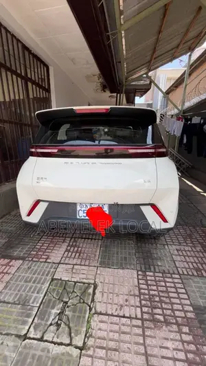 BYD Seagull 30 kWh FWD 2023 Off white