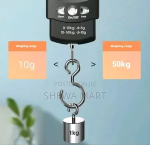 High Precision Express Scale Small Scale Spring Type Portable Hanging