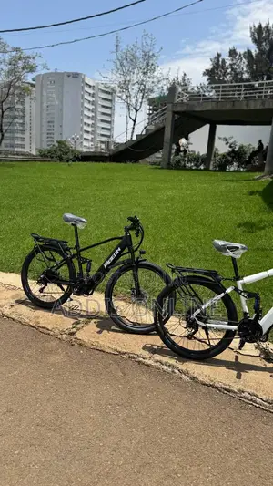 Photo - Flying Pigeon Electric Bike