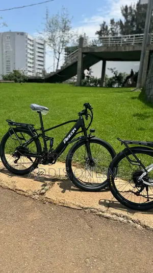 Photo - Original Flying Pigeon's E-Bike