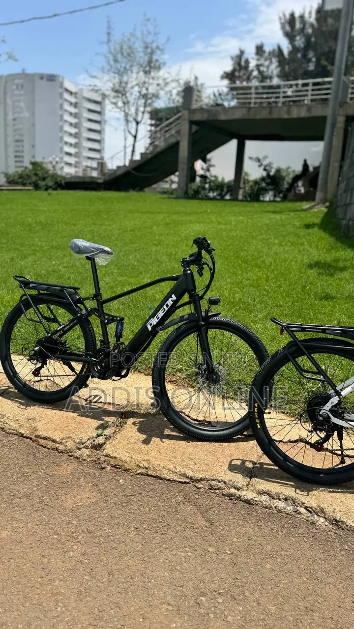 Original Flying Pigeon's E-Bike