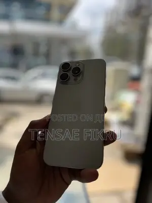 Apple iPhone 15 Pro Max 256 GB Silver