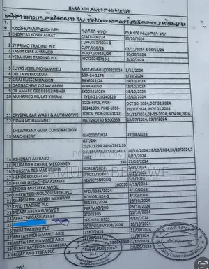 Sino Truck 2024 የድሮ ግብን 336