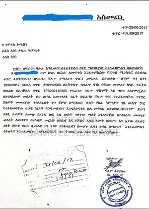 Sino Truck 2024 የድሮ ግብን 336