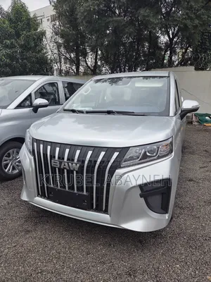 New BAW Haice 2025 Silver