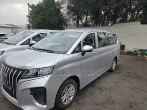 New BAW Haice 2025 Silver