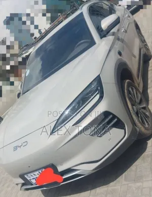 BYD Song Plus 2024 Off white