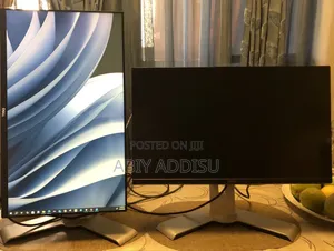 Dell Frameless Monitor