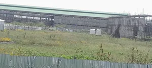 Photo - አስቸካይ የሚሸጥ ባታ