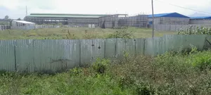 አስቸካይ የሚሸጥ ባታ