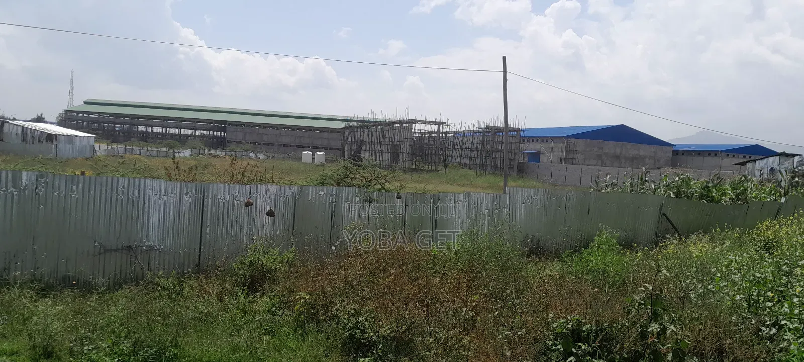 አስቸካይ የሚሸጥ ባታ