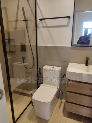 Furnished 2bdrm Apartment in Luxury Apartiment, Bole for rent