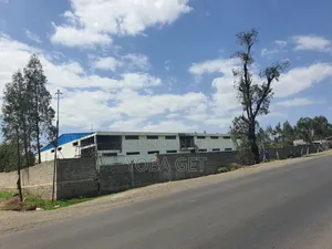 Photo - አስቸካይ የሚሸጥ መጋዘን