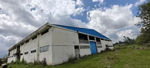 አስቸካይ የሚሸጥ መጋዘን