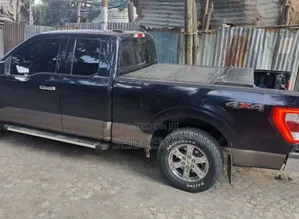 Ford F-150 2022 Gray