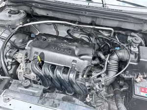 Toyota Corolla 2003 Gold