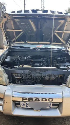 Toyota Land Cruiser Prado 2008 Silver