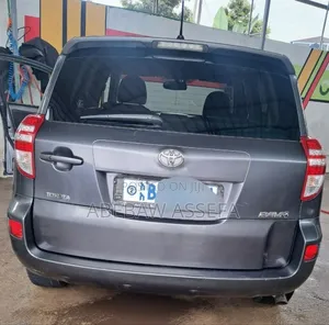 Toyota RAV4 2010 Gray