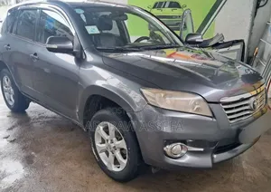 Toyota RAV4 2010 Gray