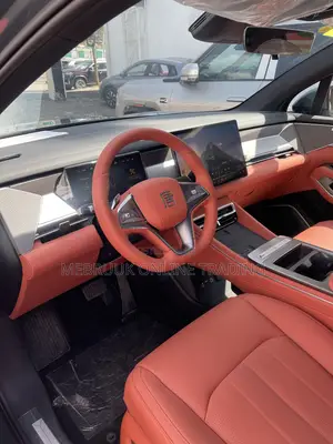 New BYD Tang DM-i 2025 Gray