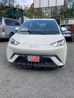 Photo - BYD Seagull 2025 White