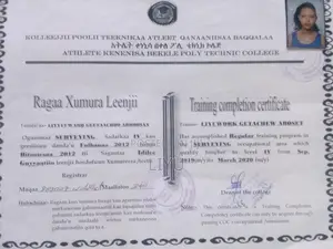 Photo - Serveying Engineer