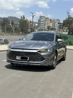 BYD Qin Plus DM-i 2024 Silver