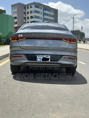 BYD Qin Plus DM-i 2024 Silver
