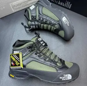 North Face Shoe Men’S Master Quality