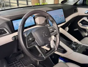 BYD Yuan Up 45 kWh FWD 2024 Gray