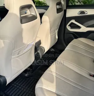 BYD Yuan Up 45 kWh FWD 2024 Gray