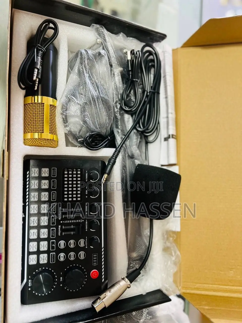 Professional Condenser Microphone