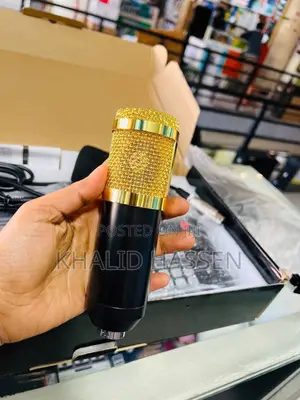 Professional Condenser Microphone