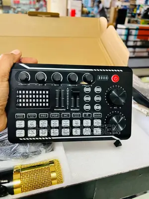 Professional Condenser Microphone