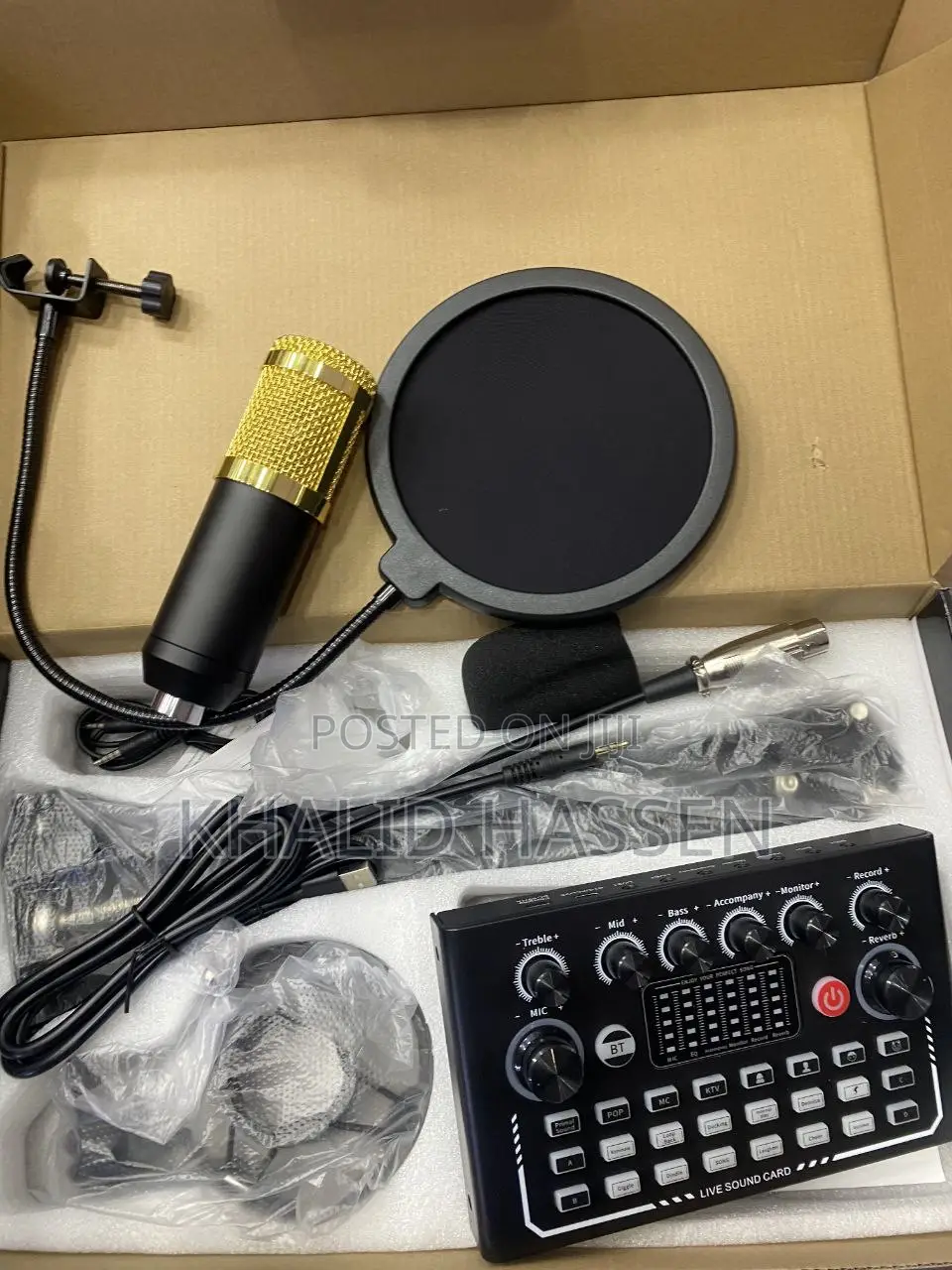 Professional Condenser Microphone