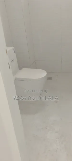 Furnished 2bdrm Condo in በሻሌ, Bole for sale