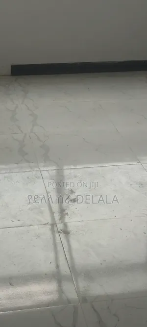 Furnished 2bdrm Condo in በሻሌ, Bole for sale