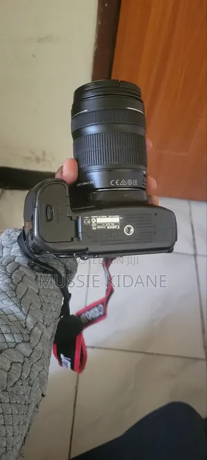 Canon 60d STM 18-135 and 18-55mm