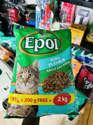 Dry Food for Cats