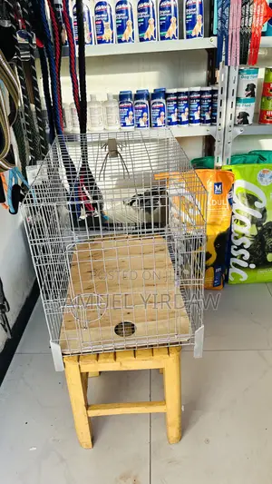 Photo - Dog and Cat Cage